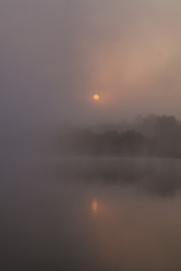 Similar image 21702329