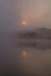 Similar image 21702343