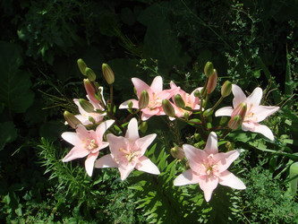 Similar image 21701019