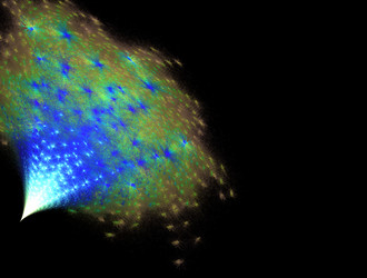 Similar image 21702351