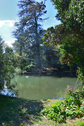 Similar image 21701459