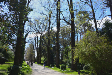 Similar image 21701460