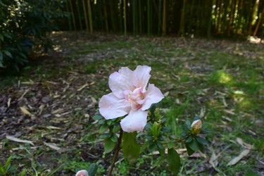 Similar image 21701461