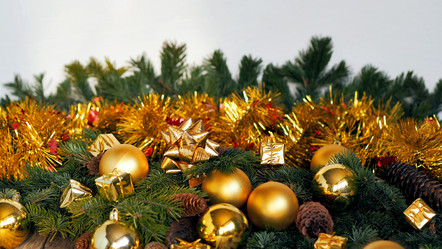 Similar image 21701568