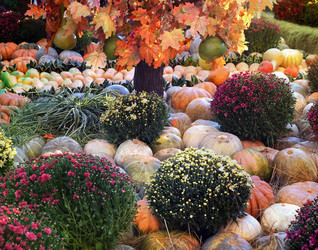 Similar image 21701485