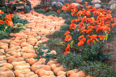 Similar image 21701486