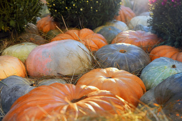 Similar image 21701489