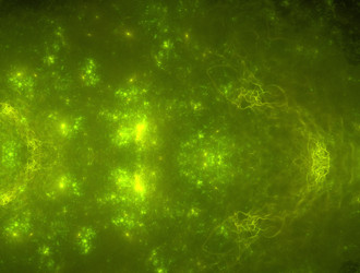 Similar image 21702866