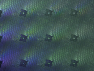 Similar image 21702895