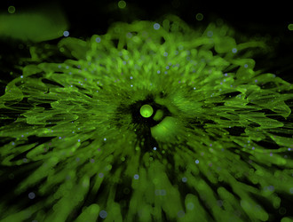 Similar image 21702905