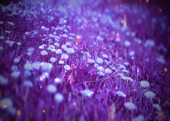 Similar image 21702147