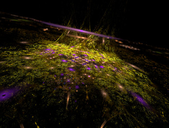 Similar image 21702921