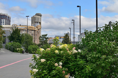 Similar image 21701709