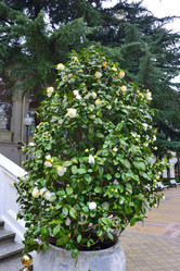 Similar image 21701718