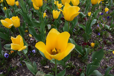 Similar image 21701739