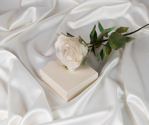 Similar image 21701752