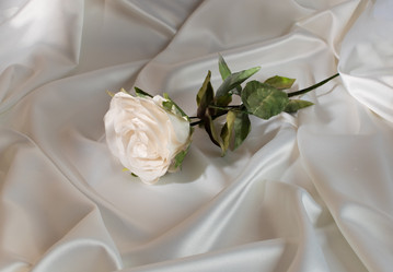 Similar image 21701753