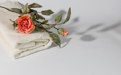 Similar image 21701754