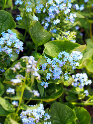 Similar image 21702416