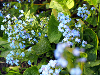 Similar image 21702418