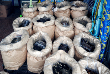 Similar image 21702422