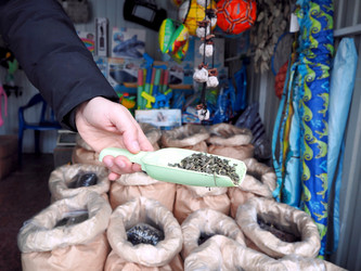 Similar image 21702434