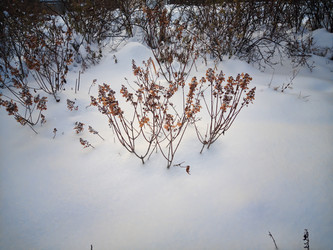 Similar image 21703042