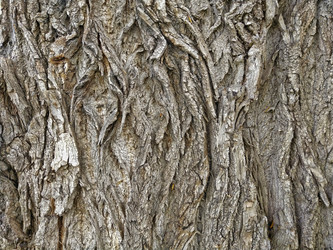 Similar image 21703043