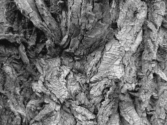 Similar image 21703045