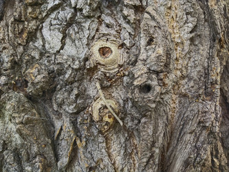 Similar image 21703046