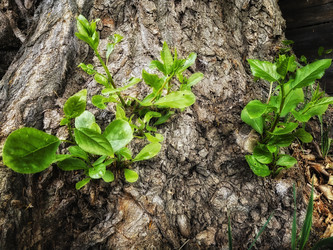 Similar image 21703047