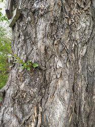 Similar image 21703049