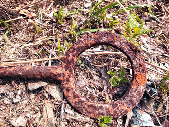 Similar image 21703051