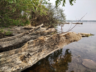 Similar image 21703052