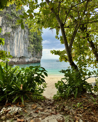 Similar image 21701892