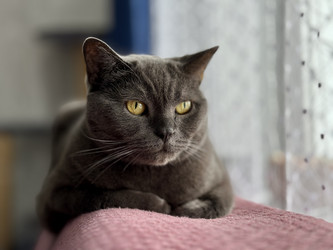 Similar image 21701894