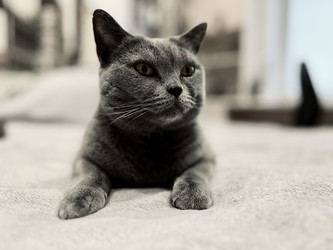 Similar image 21701895