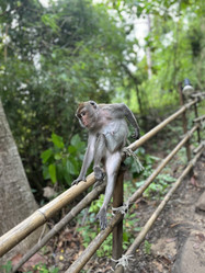 Similar image 21701897