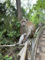 Similar image 21701898