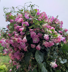 Similar image 21701900