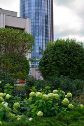 Similar image 21701904