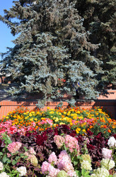 Similar image 21701910