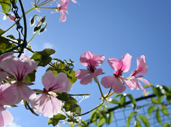 Similar image 21701913