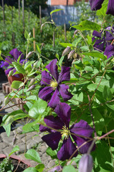 Similar image 21701914