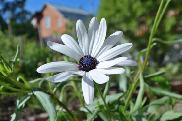 Similar image 21701915