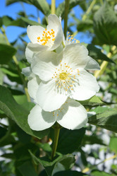 Similar image 21701916