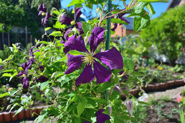 Similar image 21701917