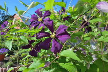 Similar image 21702044