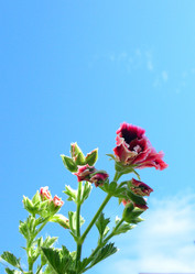 Similar image 21702045