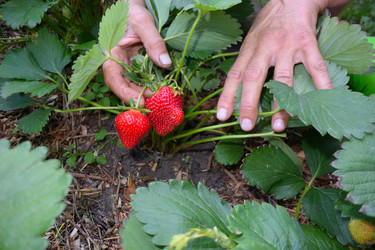 Similar image 21702047